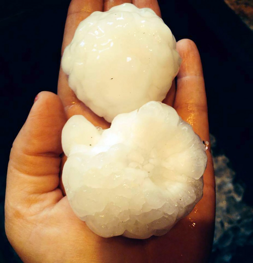 A resident living southwest of Marmarth holds two pieces of hail in her hand during the severe storm that struck southwest North Dakota on June 19. (Photo Courtesy Kerry B.)