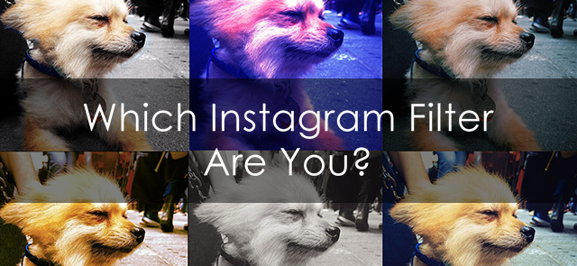 Which Instagram Filter Are You?