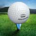 Free Golf Challenge game by Bowman Extra
