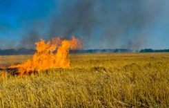 USDA offers help to fire-affected farmers, ranchers