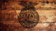 The leaders of tomorrow: It’s FFA week