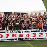 Analysis of 2016 Night Hawks track team