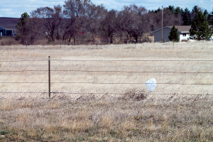 Western N.D. agencies to begin movement to clean Highway 85