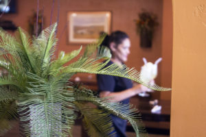 So, how is it?: Selena’s now open in Bowman