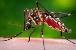 N.D. resident tests positive for Zika virus