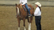 2016 Southwest ND 4-H Horse Show results