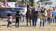 Wishes do come true: Make-A-Wish surprises boy with horse