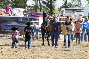 Wishes do come true: Make-A-Wish surprises boy with horse