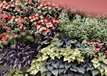 Design Spaces: Floral Summer Joys