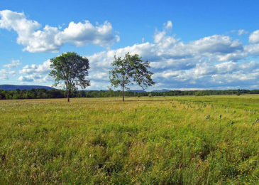 Hoeven works to meet ranchers’ needs, ensure multiple use in grasslands