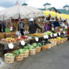Pioneer bringing open-air market this month to Bowman