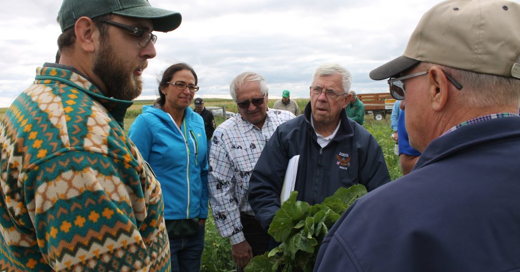 Bowman beef producer Jay Soreide (back to camera) listens to information about cover crops presented by Dickinson Research Extension Center agronomist Ryan Buetow at the Building for the Future Beef Cattle and Forage Field Day last week. Others shown are NDSU Extension livestock Fara Brummer from Streeter, Medora area rancher Joe Frenzel and Senator majority leader Rich Wardner from DIckinson. (James Odermann photo)
