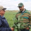 Organic matter is ingredient for healthy soil