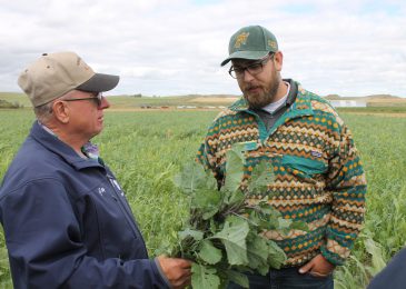 Organic matter is ingredient for healthy soil