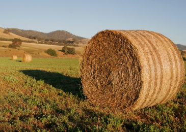 Hay bales need to be removed from rights of way no later than Nov. 1