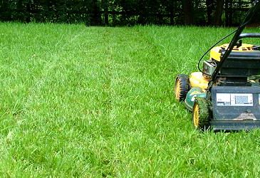 City adopts new ordinances for grass clippings, industrial park zoning