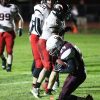 Bulldogs show poise, strength despite losses