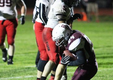 Bulldogs show poise, strength despite losses