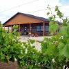 First commercial winery in region opens to bubbly reviews