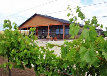 First commercial winery in region opens to bubbly reviews
