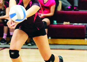Lady Bulldogs lose to Mott, 1-3; Rallies against Beach to win 3-1