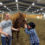 Hope and Healing: Locals start horseback riding program for people with disabilities